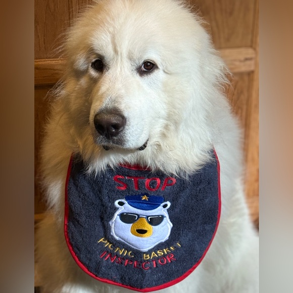 Meet your Posher, Posh - Picture 2 of 5